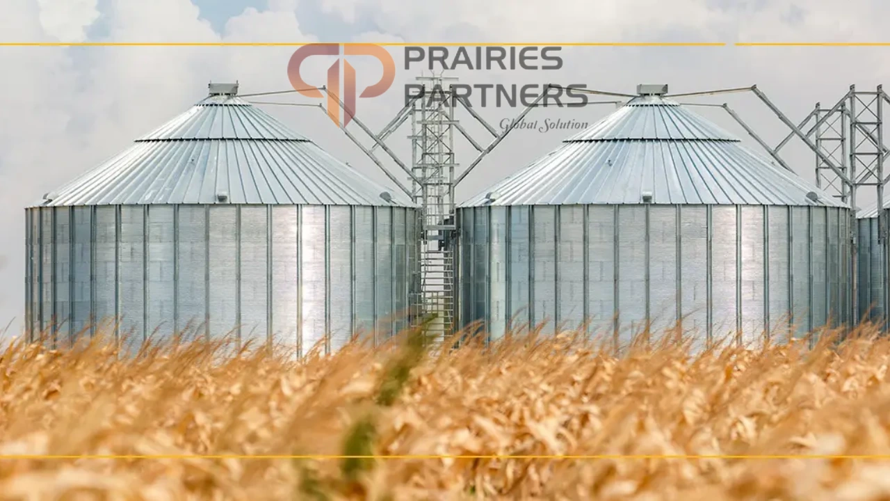 Grain Farming Process