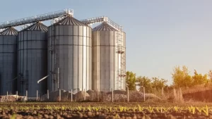 Read more about the article What is the Difference Between Grain Silos and Grain Bins?