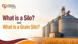 Read more about the article What is a Silo? and What is a Grain Silo?